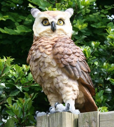 Deko Vogel Deko Eule kaufen