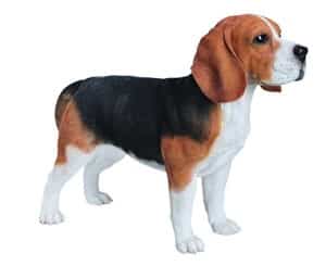 Deko Hund Beagle Gartendeko