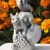 Gartenfigur Eichhörnchen Steinfigur