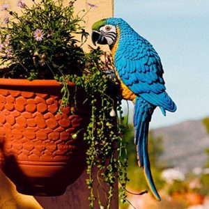 Gartenfigur Papagei