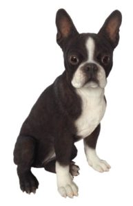 Gartenfiguren kaufen: Deko Hund Boston Terrier aus Kunstharz