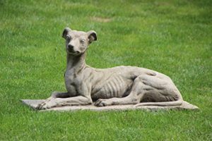 Greyhound Windhund Gartenskulptur aus Stein