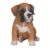 Hundebaby - Boxer Puppy - Vivid Arts