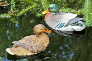 Schwimm Enten 2er Set Teichdeko