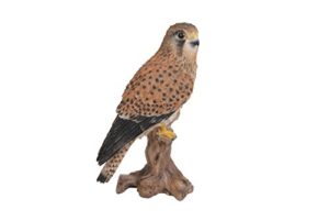 Kleiner Gartenvogel - Kestrel auf Baumstamm