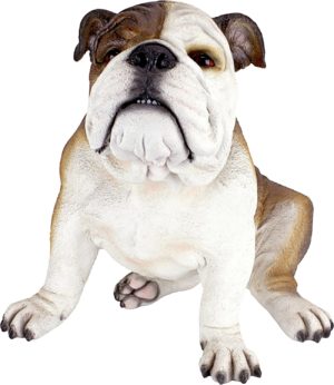 Brittische-Bulldogge-Hundefigu