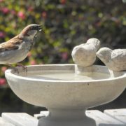 Vogeltränke mit Vogelpaar & Sockel aus Stein (Zement)